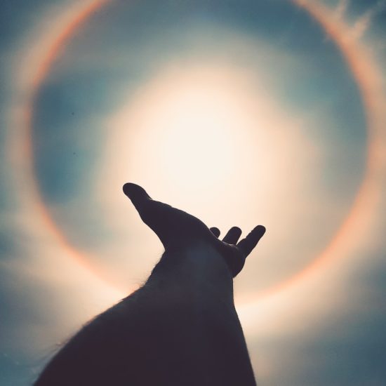 Left Human Hand Photo